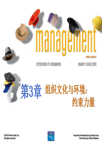 管理学第3章组织文化与环境约束力量