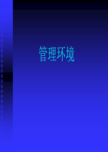 管理环境教学课件