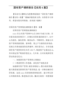 国有资产调研报告【实用4篇】