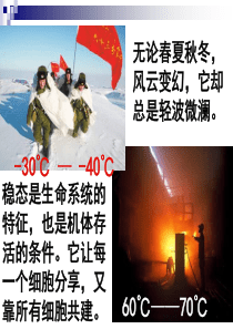 细胞生活的环境
