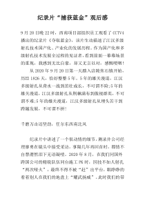 纪录片“捕获蓝金”观后感