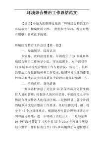 环境综合整治工作总结范文