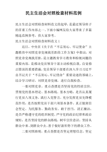 民主生活会对照检查材料范例