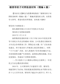 镇领导班子对照检查材料（精编4篇）