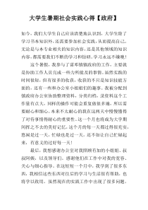 大学生暑期社会实践心得【政府】