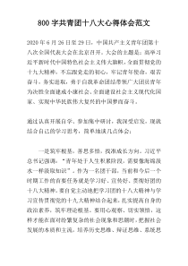 800字共青团十八大心得体会范文