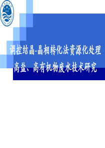 调控结晶-晶相转化法资源化处理高盐、高有机物废水技术研究