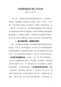 软环境检查总结