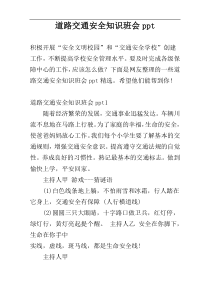 道路交通安全知识班会ppt