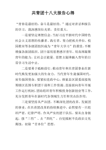共青团十八大报告心得