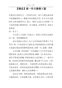 【精品】高一作文集锦5篇