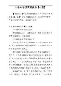 小学六年级调查报告【4篇】
