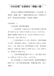 污水处理厂自查报告（精编4篇）