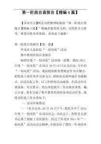 第一阶段自查报告【精编4篇】