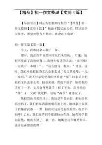 【精品】初一作文整理【实用4篇】