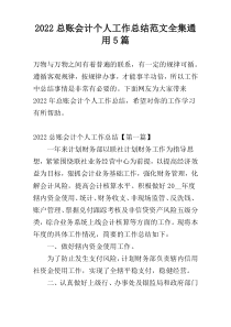 2022总账会计个人工作总结范文全集通用5篇