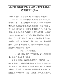 县统计局年度工作总结范文和下阶段经济普查工作安排