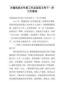 乡镇民政办年度工作总结范文和下一步工作规划