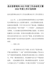 县应急管理局2022年度工作总结范文暨2022年度工作计划范例