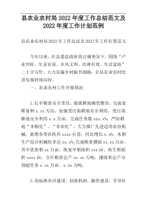 县农业农村局2022年度工作总结范文及2022年度工作计划范例