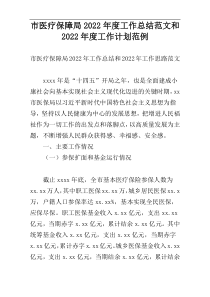 市医疗保障局2022年度工作总结范文和2022年度工作计划范例