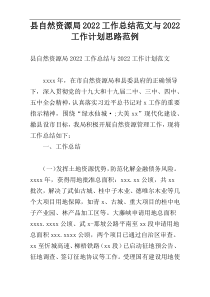 县自然资源局2022工作总结范文与2022工作计划思路范例