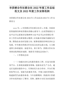 市供销合作社联合社2022年度工作总结范文及2022年度工作安排范例