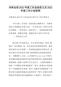 市林业局2022年度工作总结范文及2022年度工作计划范例