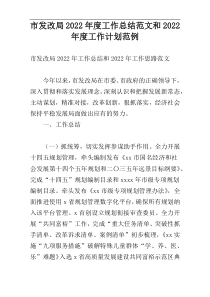 市发改局2022年度工作总结范文和2022年度工作计划范例