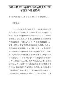 市司法局2022年度工作总结范文及2022年度工作计划范例