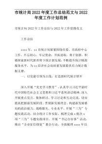 市统计局2022年度工作总结范文与2022年度工作计划范例