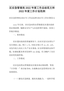 区应急管理局2022年度工作总结范文和2022年度工作计划范例