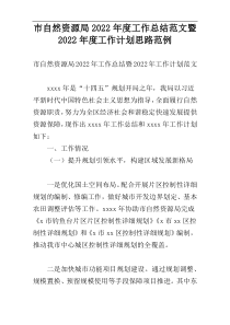 市自然资源局2022年度工作总结范文暨2022年度工作计划思路范例