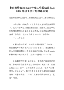 市自然资源局2022年度工作总结范文及2022年度工作计划思路范例