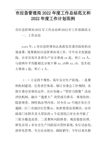 市应急管理局2022年度工作总结范文和2022年度工作计划范例