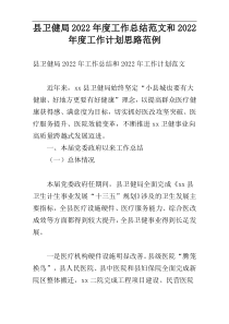 县卫健局2022年度工作总结范文和2022年度工作计划思路范例