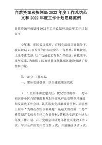 自然资源和规划局2022年度工作总结范文和2022年度工作计划思路范例