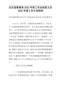 区应急管理局2022年度工作总结范文及2022年度工作计划范例