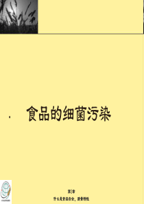 食品细菌类污染(1)