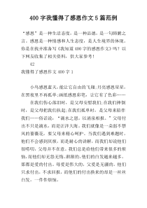 400字我懂得了感恩作文5篇范例