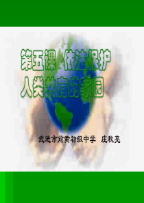 高中地理课件人类面临严重的环境问题24542