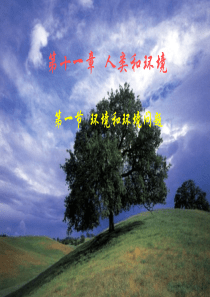 高中地理课件环境保护