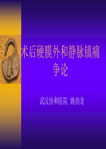 后硬膜外和静脉镇痛争论 姚尚龙教授