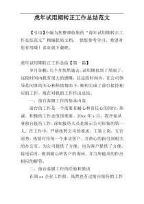 虎年试用期转正工作总结范文