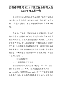 县医疗保障局2022年度工作总结范文及2022年度工作计划
