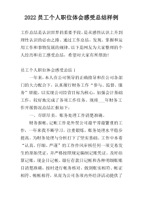 2022员工个人职位体会感受总结样例