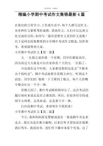 精编小学期中考试作文集锦最新4篇