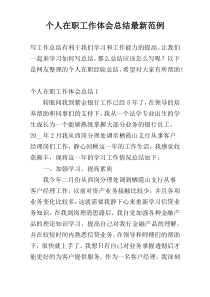 个人在职工作体会总结最新范例