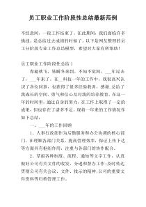 员工职业工作阶段性总结最新范例