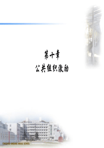 08第十章公共组织激励